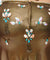Osmani Golden Shells